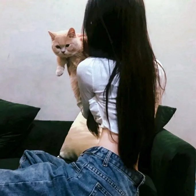 嗨上狂欢节